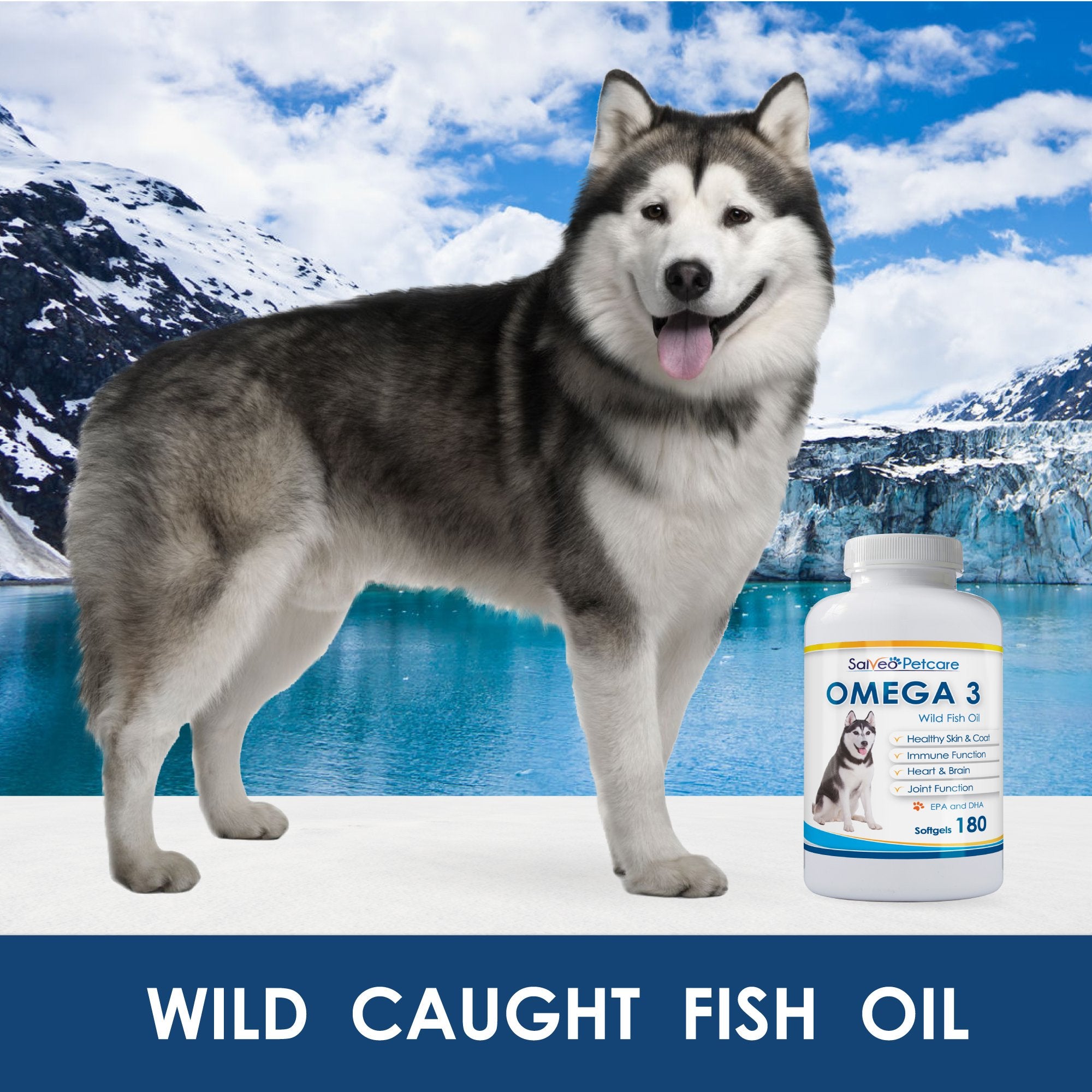 Salveo Omega3 para perros: etiqueta informativa destaca pureza y origen marino