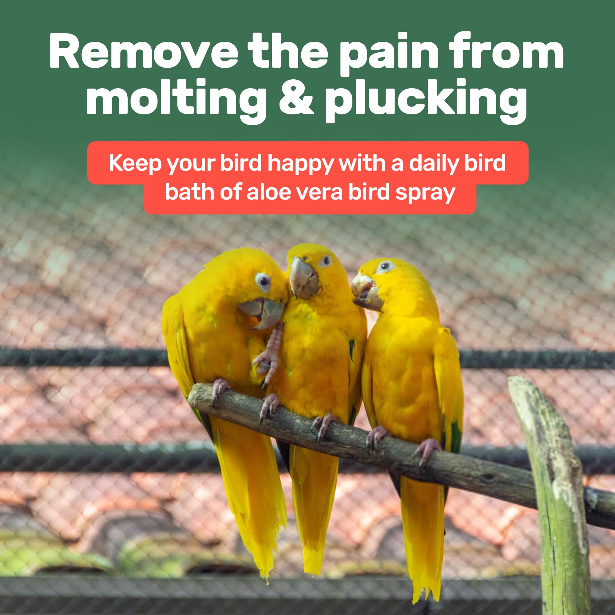 Samorillo spray sin químicos, seguro para aves de todas las edades