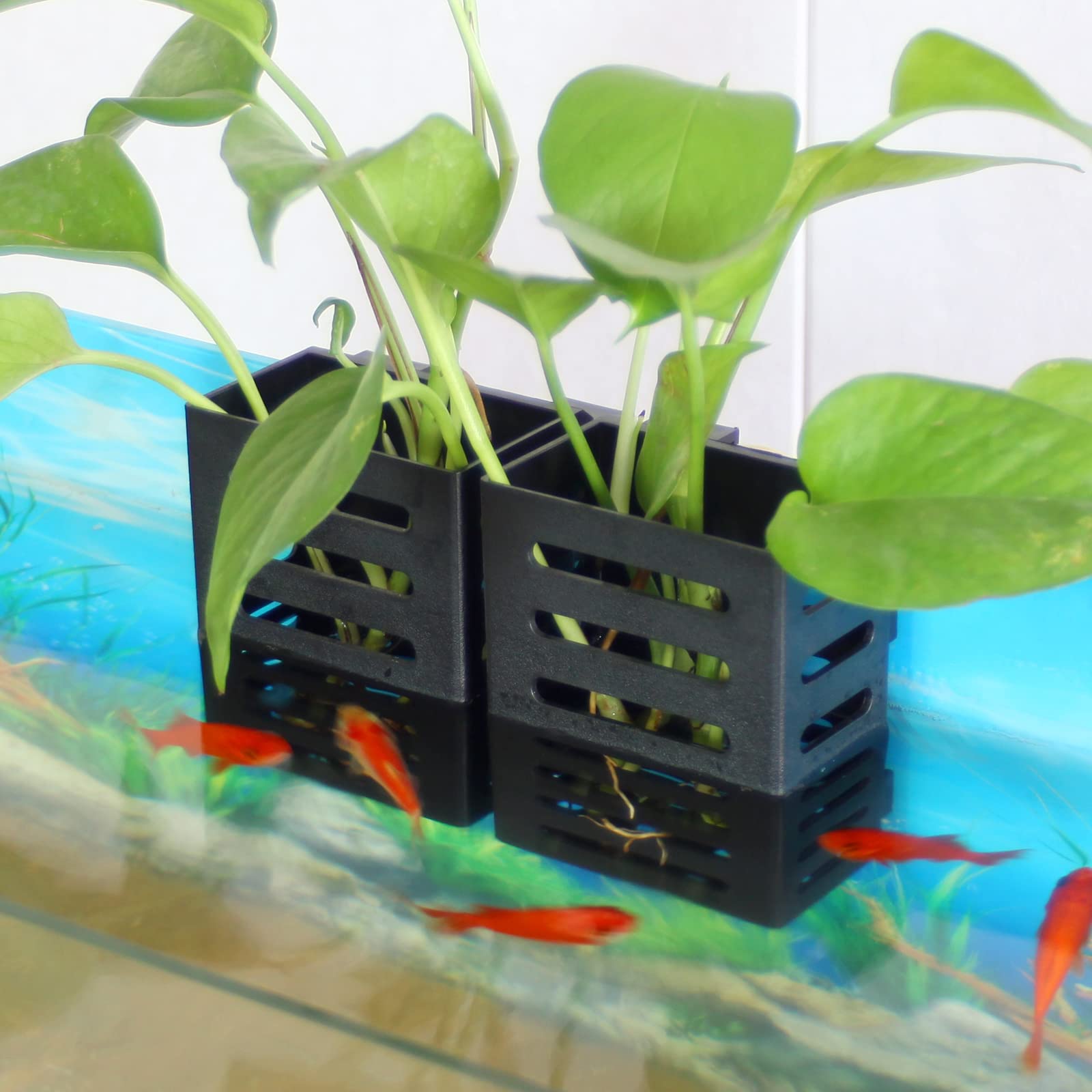 SANJHFF porta-plantas acuario añade decoración estable y agradable al tanque.