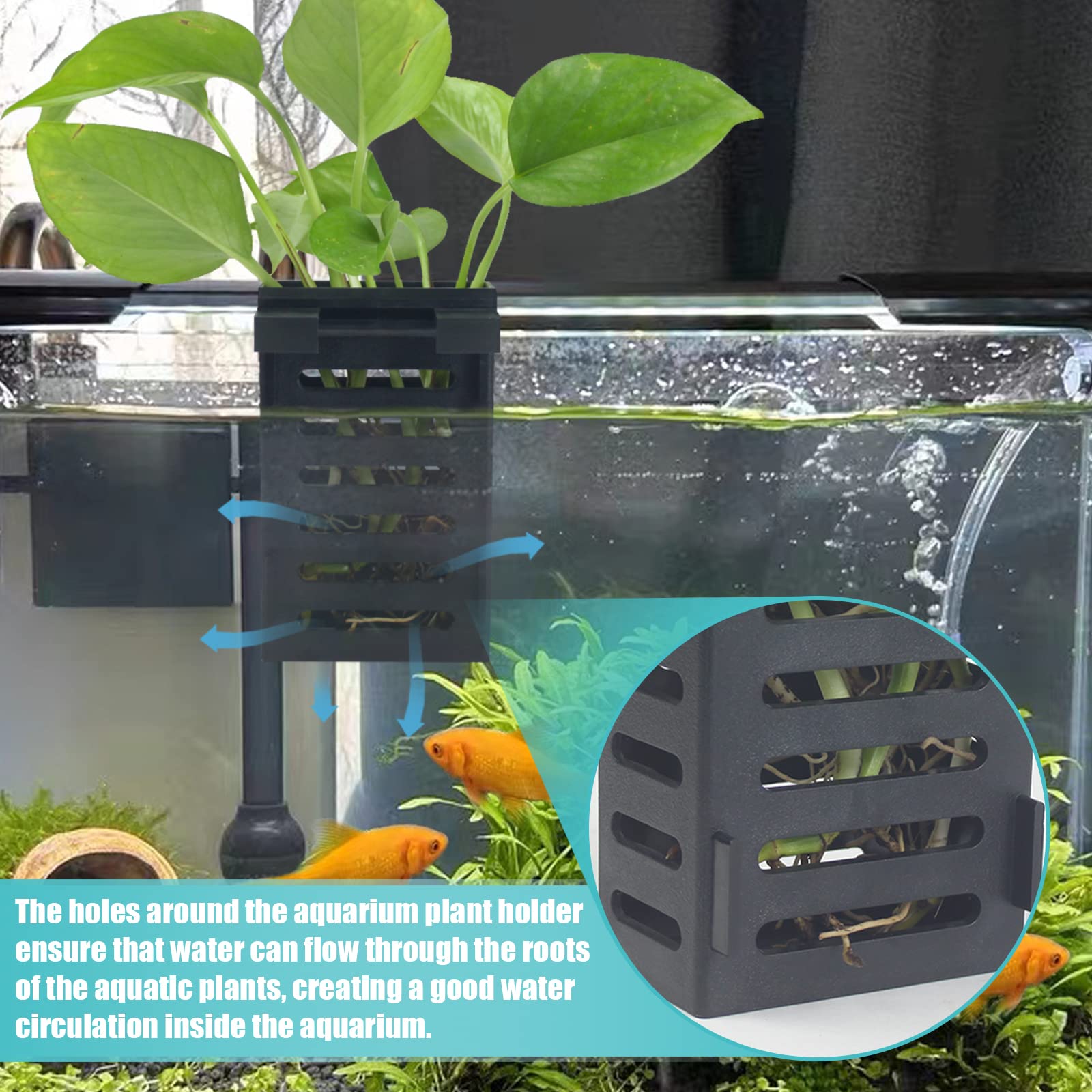 SANJHFF porta-plantas acuario admite dos modos de montaje para mayor flexibilidad.