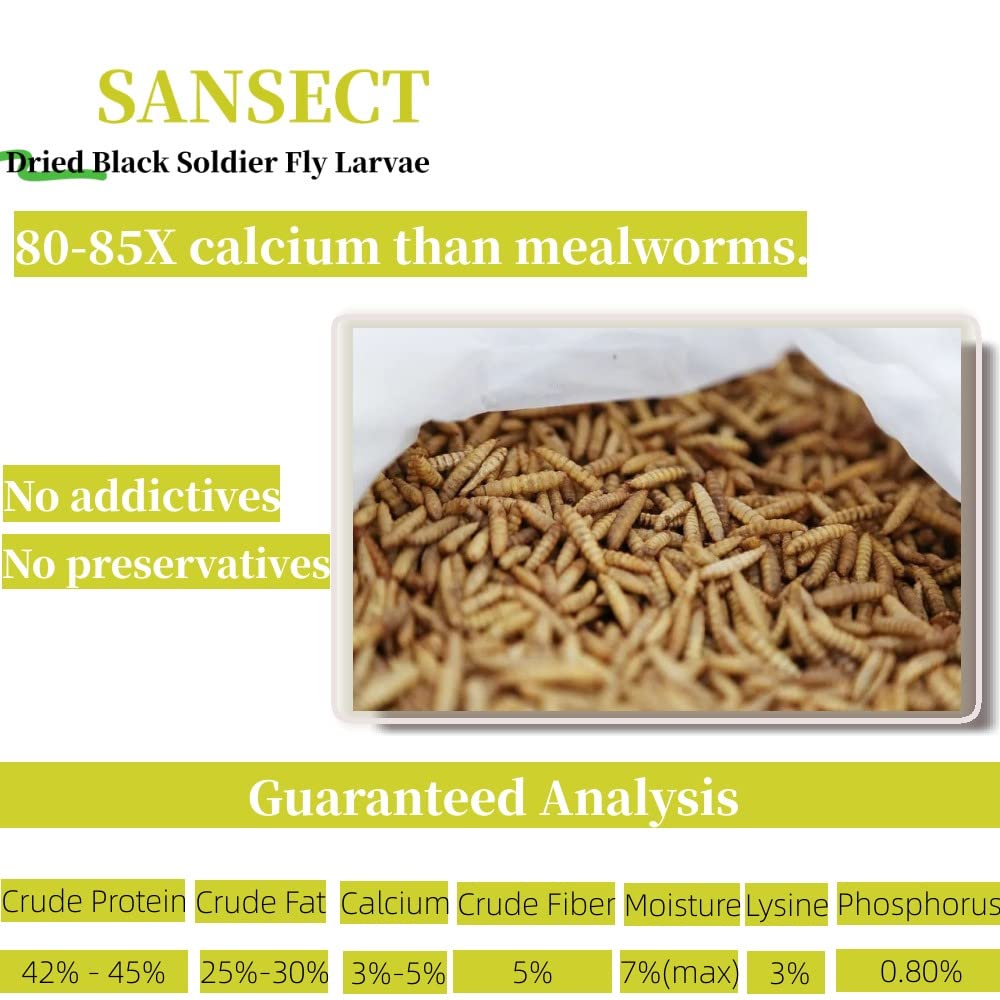 SANSECT envase con cierre zip para conservar frescura de las larvas.