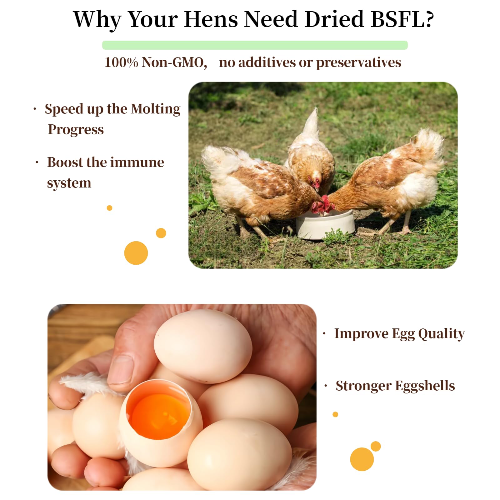 SANSECT larvas para aves de corral con alto contenido de proteína.