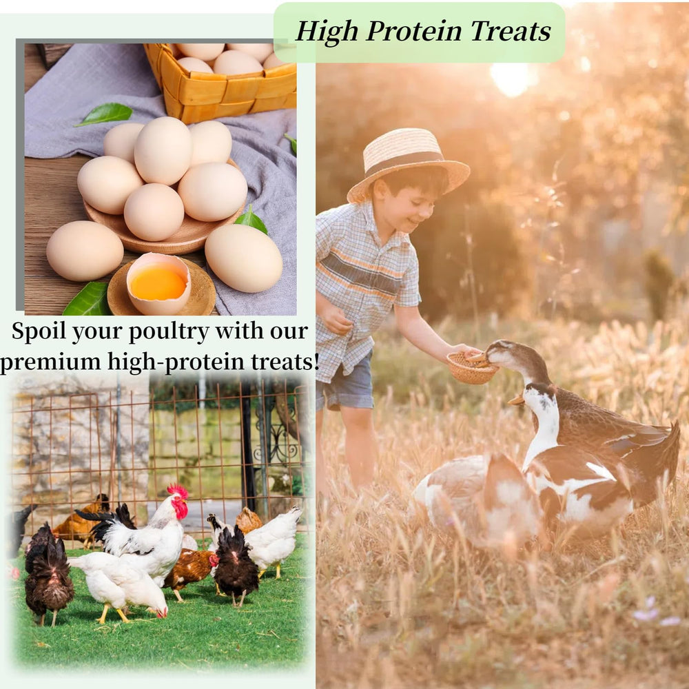 SANSECT alto contenido proteico; sustento para aves ponedoras