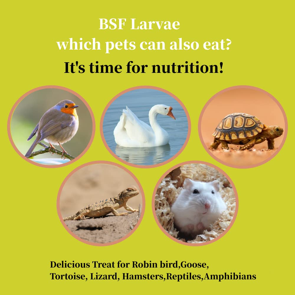 SANSECT uso recomendado para aves de corral; estimulante de la alimentación