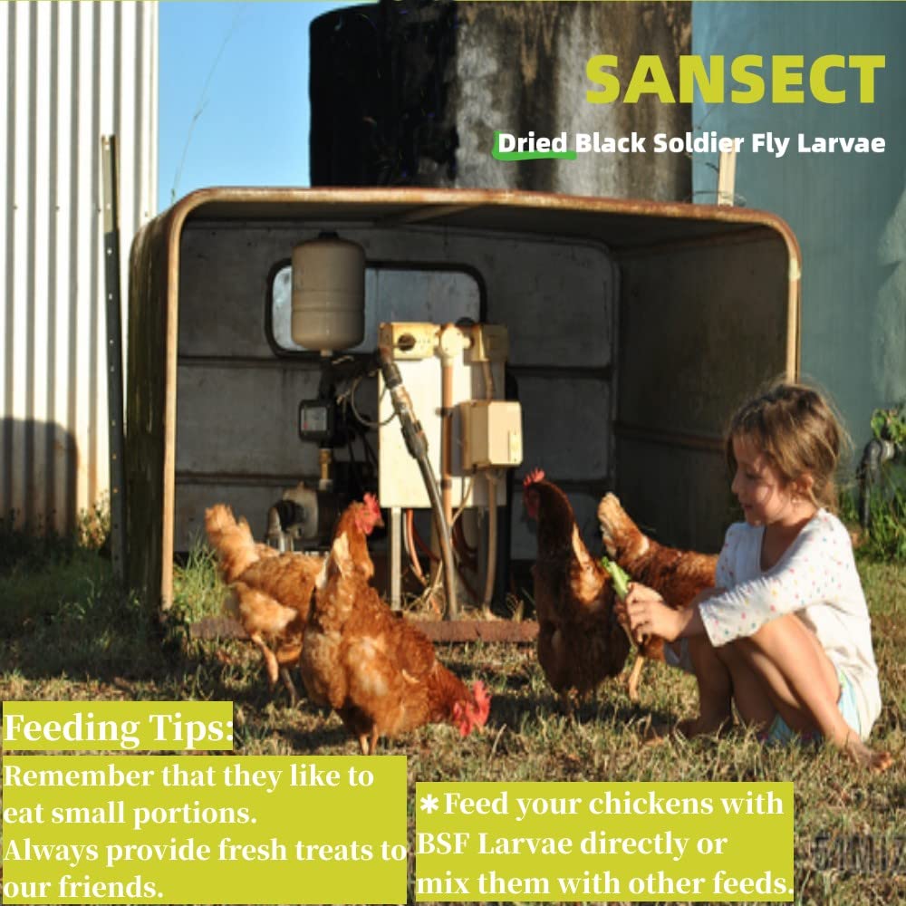 SANSECT snack natural para aves silvestres y mascotas.