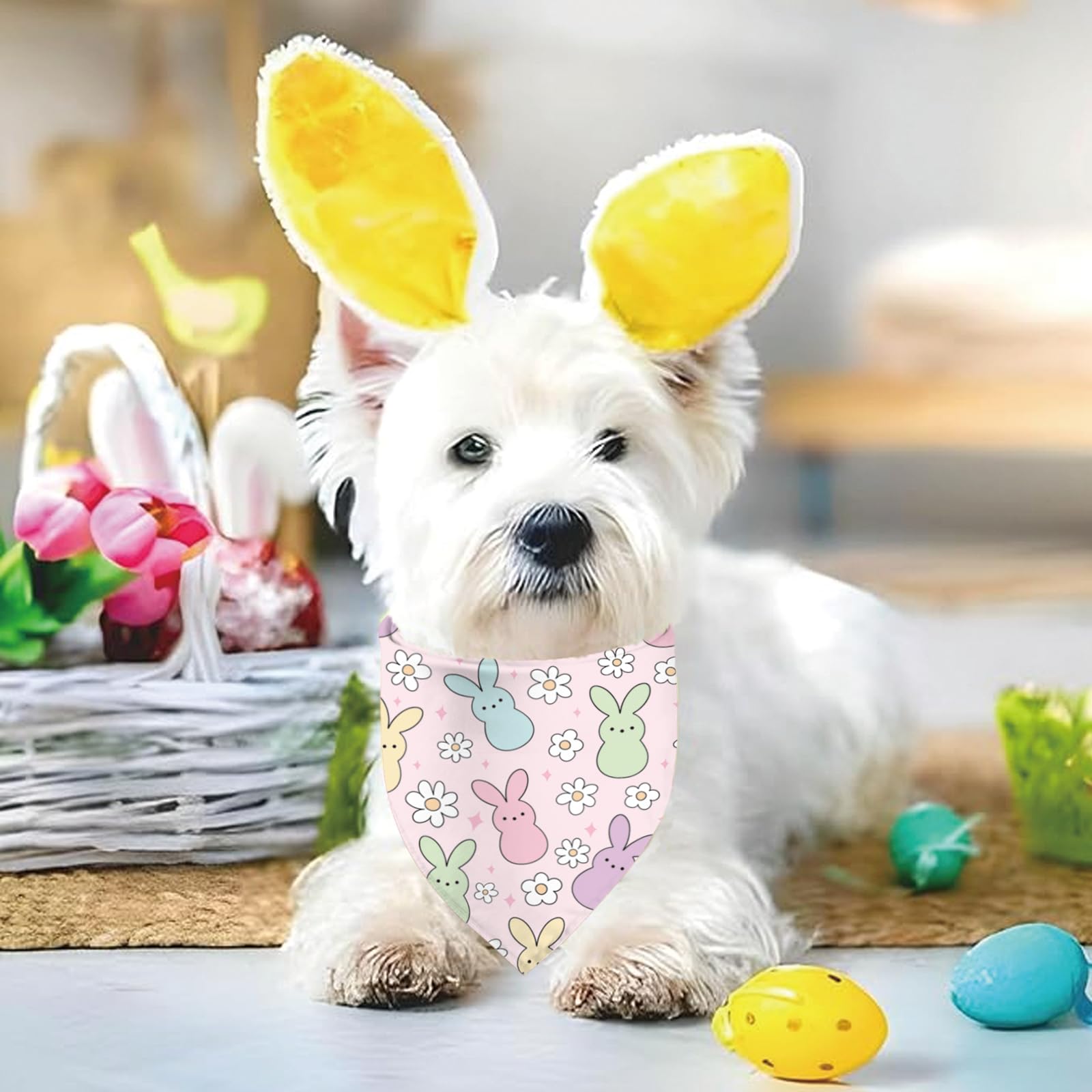 Bandana Sarybei Pascua para distintos tamaños de perros