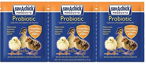 Sav-A-Chick probiótico, bolsa-porción para agua, apoya un sistema digestivo equilibrado en aves.