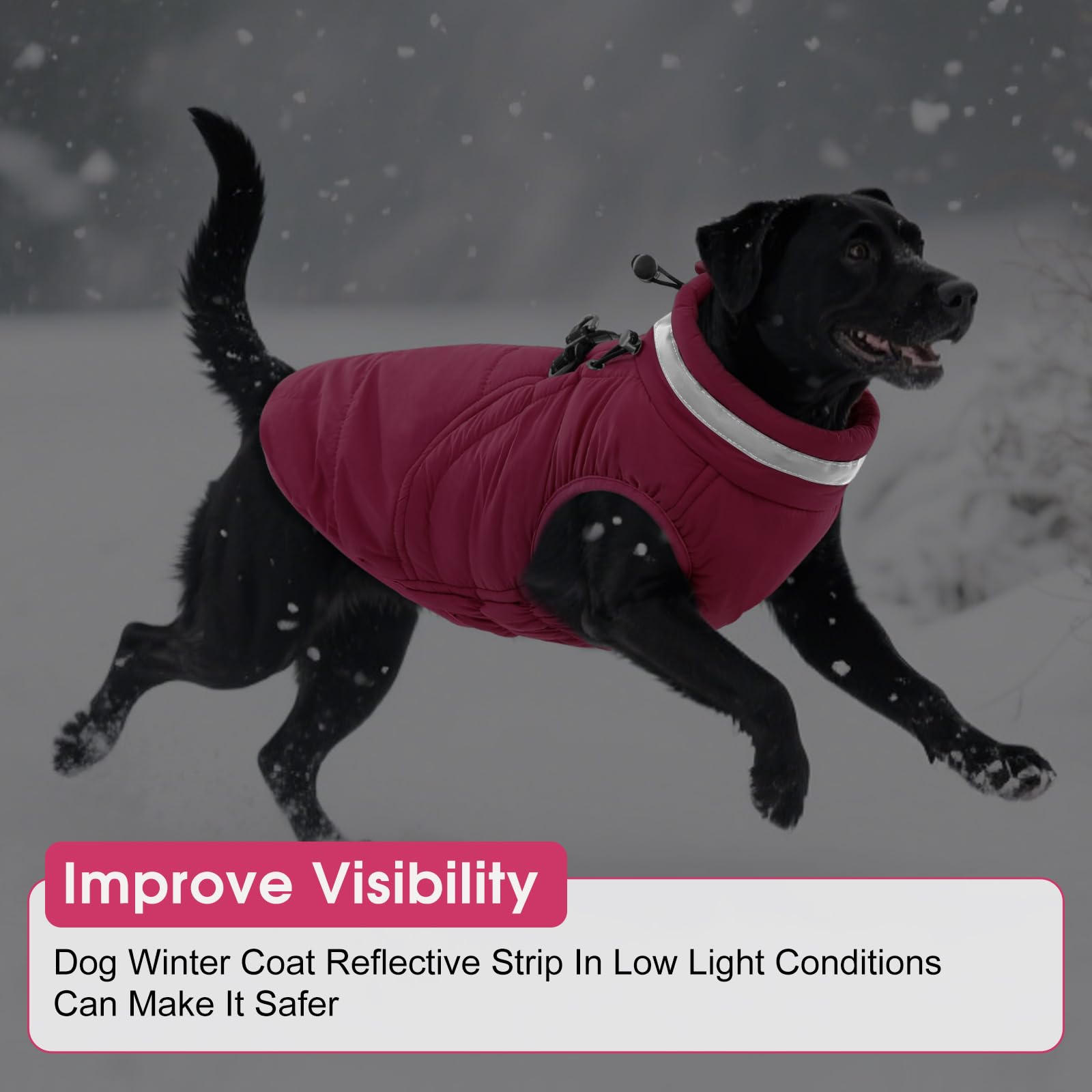 Chaleco SAWMONG de talla 7 disponible para perros grandes