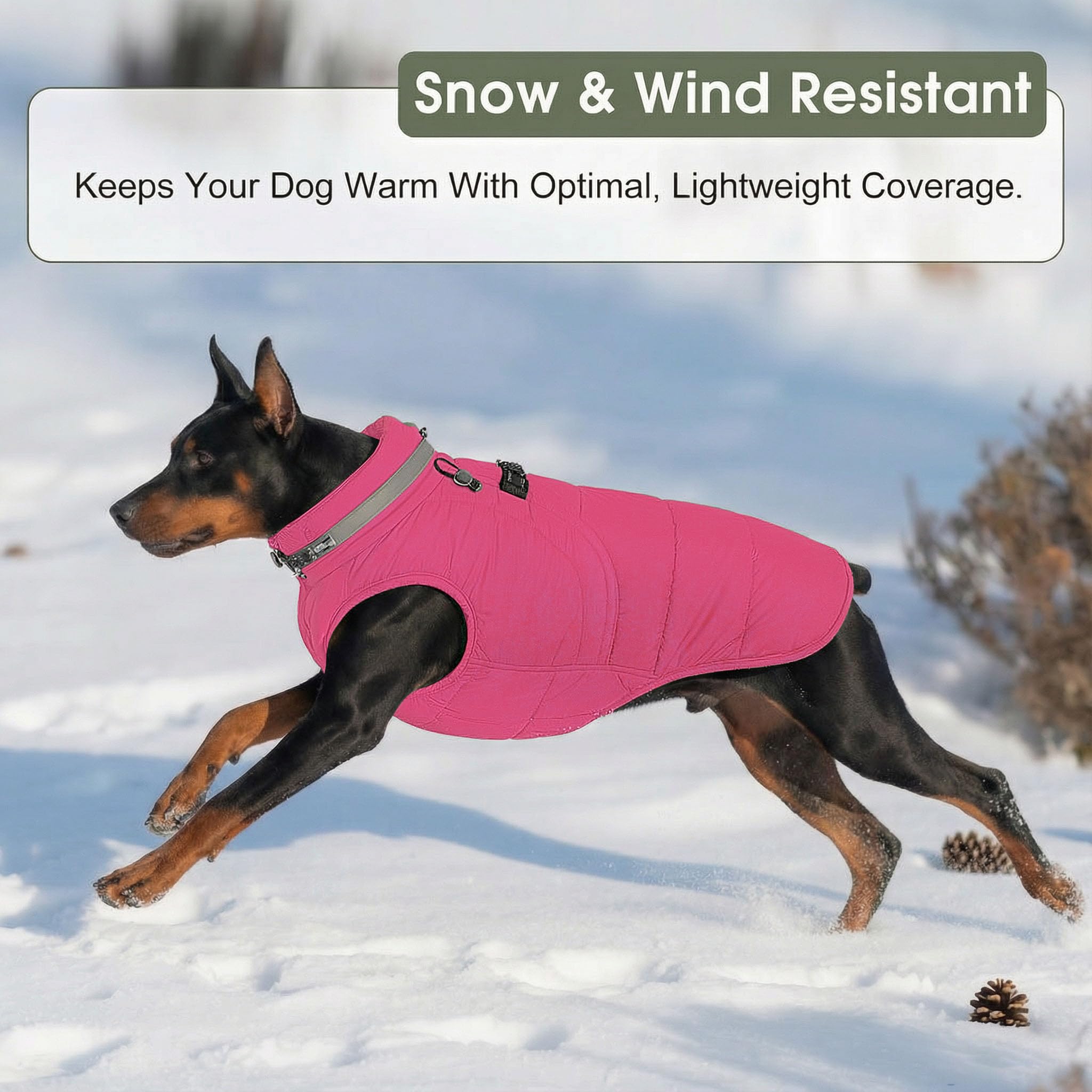 Chaleco SAWMONG impermeable mantiene al perro seco en días de lluvia