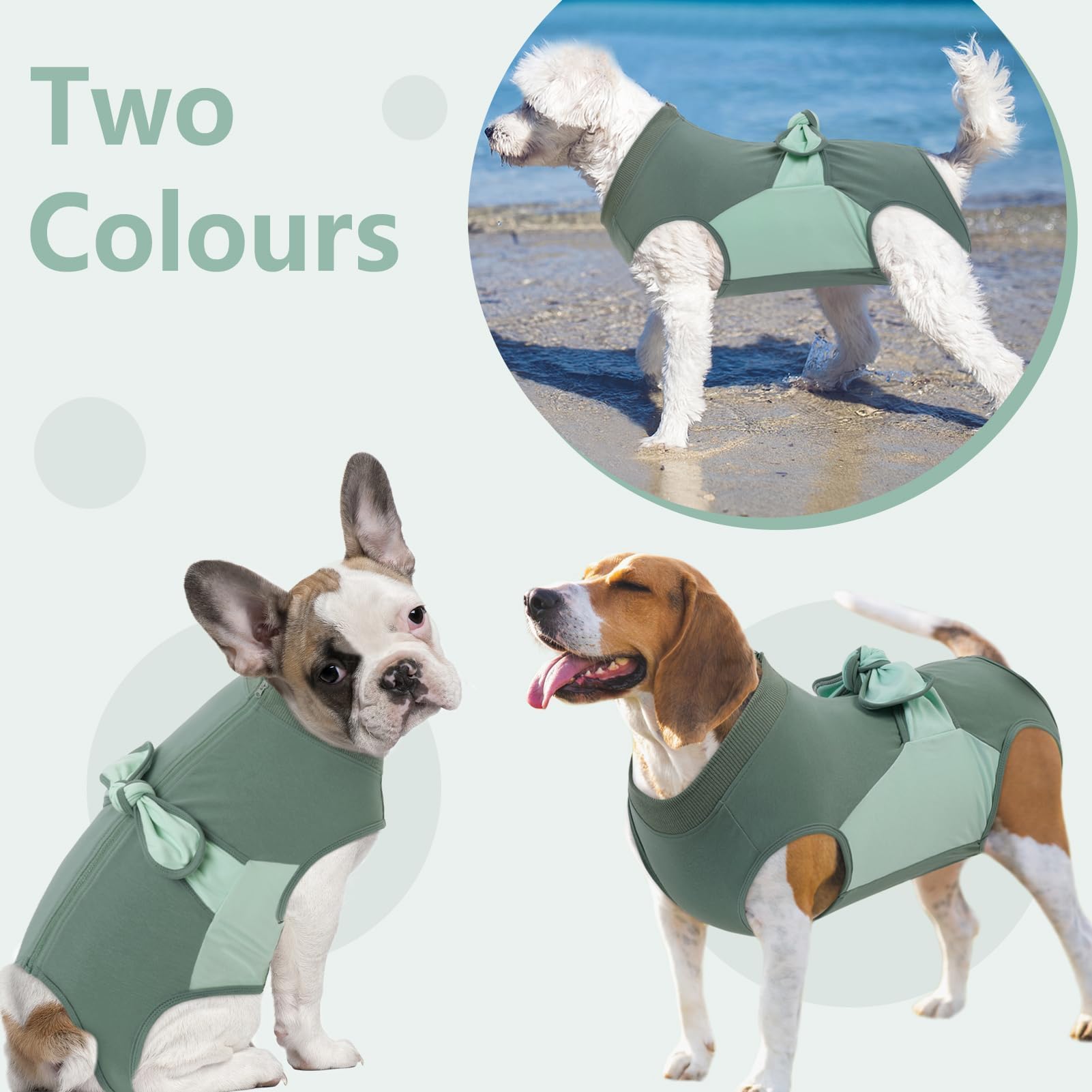 SAWMONG: protección posoperatoria para perros con cobertura abdominal.