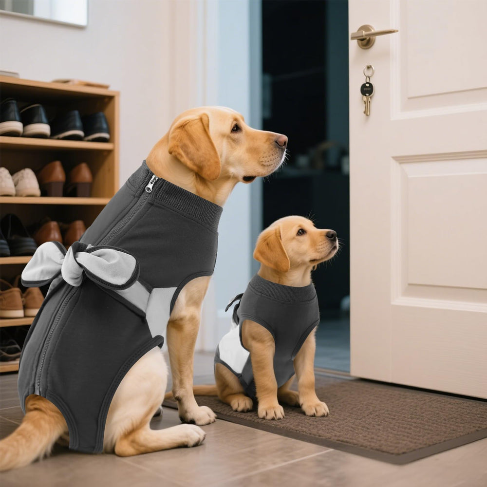 SAWMONG traje recuperación, apertura circular para perros machos, uso práctico.