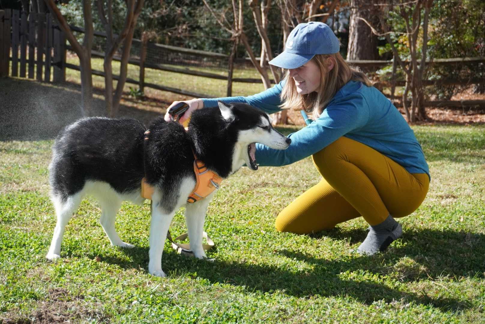 Sawyer permetrina para perros, protección duradera en jaula o cama exterior.