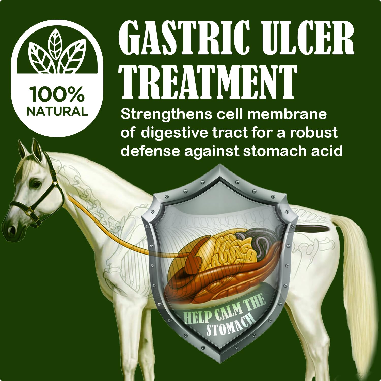 Granulos Starting Gate para caballos mejorando la absorción de nutrientes.