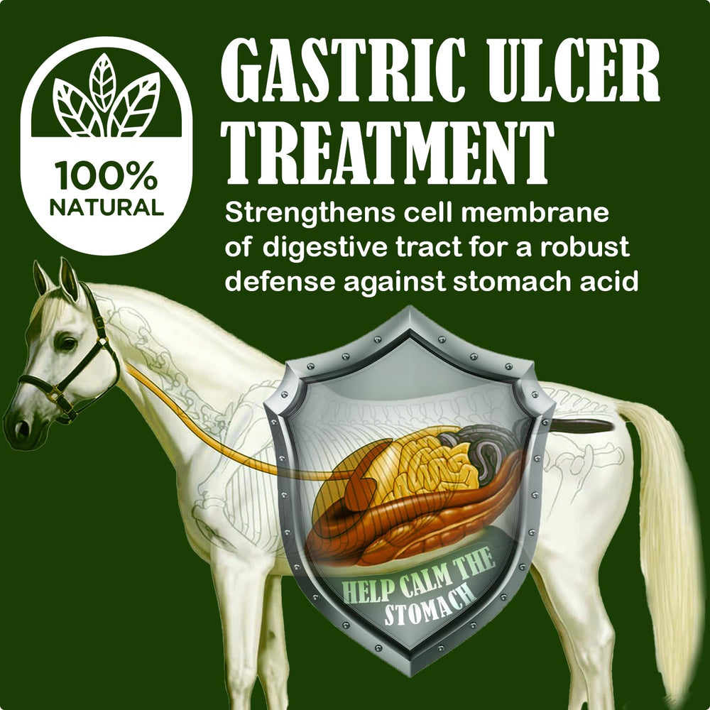 Granulos Starting Gate para caballos mejorando la absorción de nutrientes.