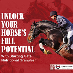 Ingredientes naturales de SBS Equine Starting Gate Granules para la salud digestiva.