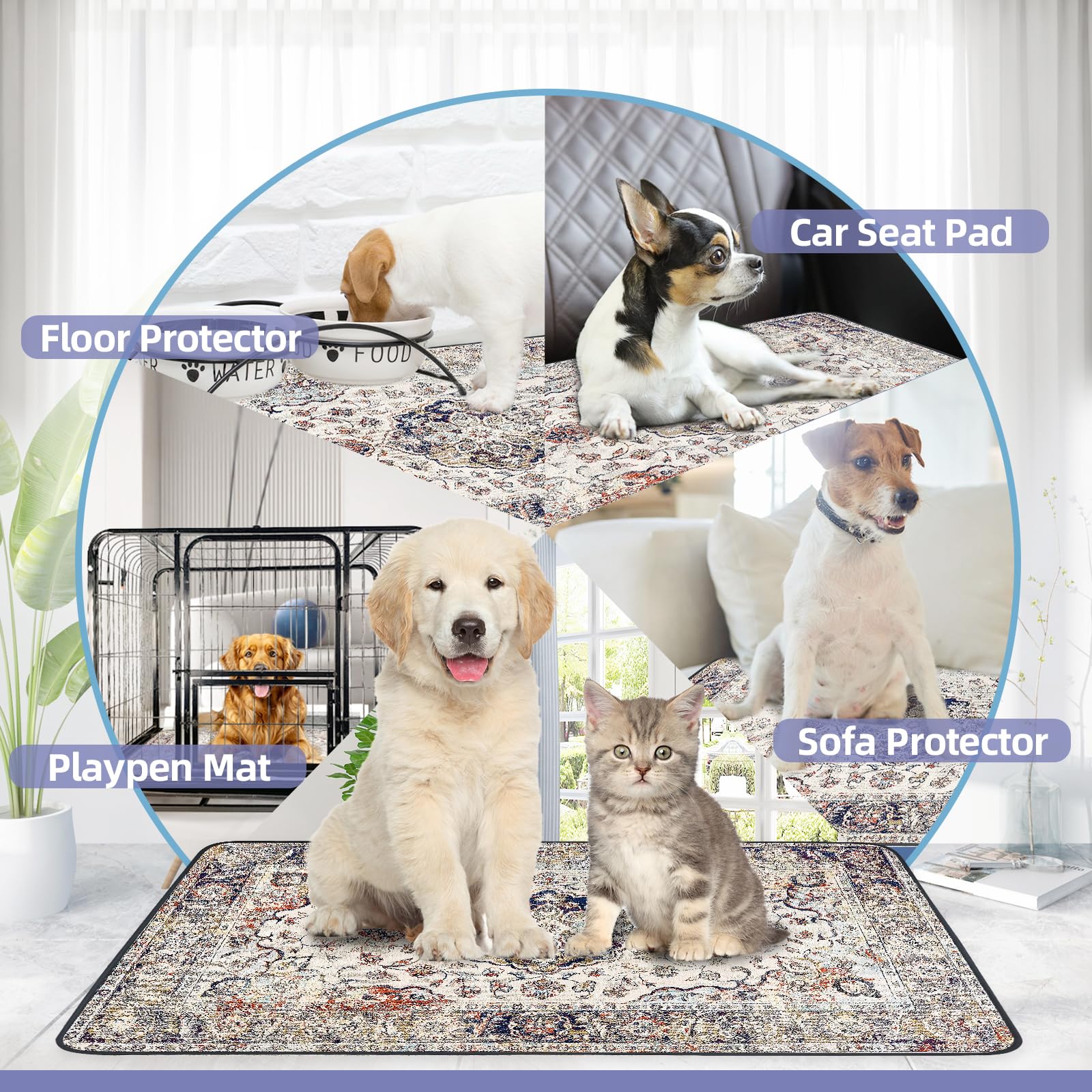 SCLOSE uso multiusos en jaula, cama y parque para perros.