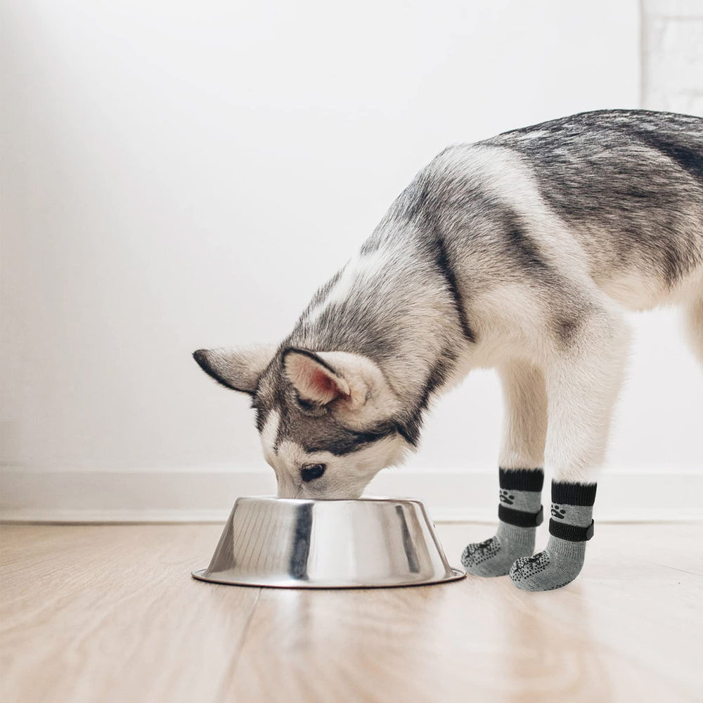 SCENEREAL calcetines para perro, uso en multiples escenarios, ideales para perros activos.
