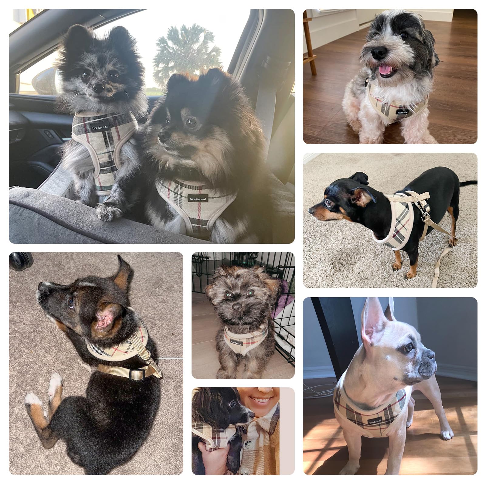 SCENEREAL diseño a cuadros en arnés para perro elegante.