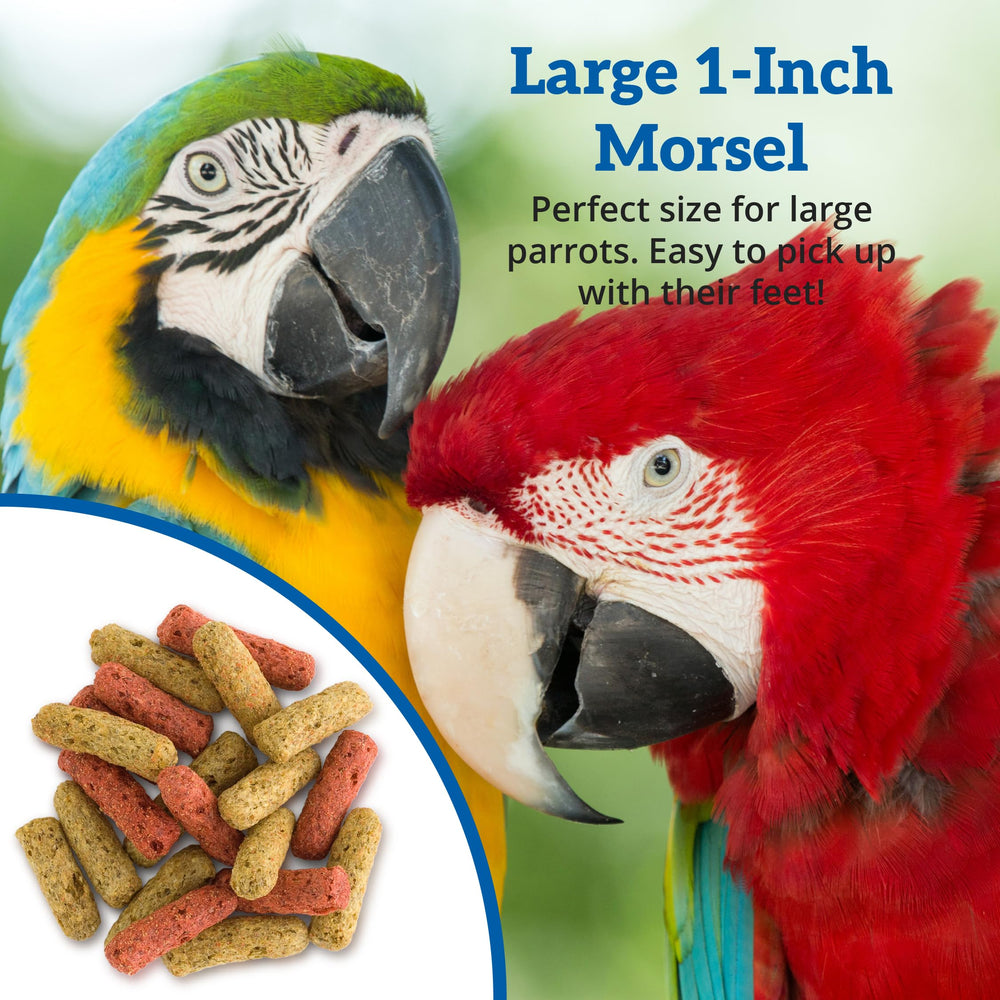 Scenic Mix Jungle con bajo hierro para dieta equilibrada de loros.