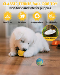SCHITEC bolas en varias tallas, adecuadas para cachorros y perros grandes.
