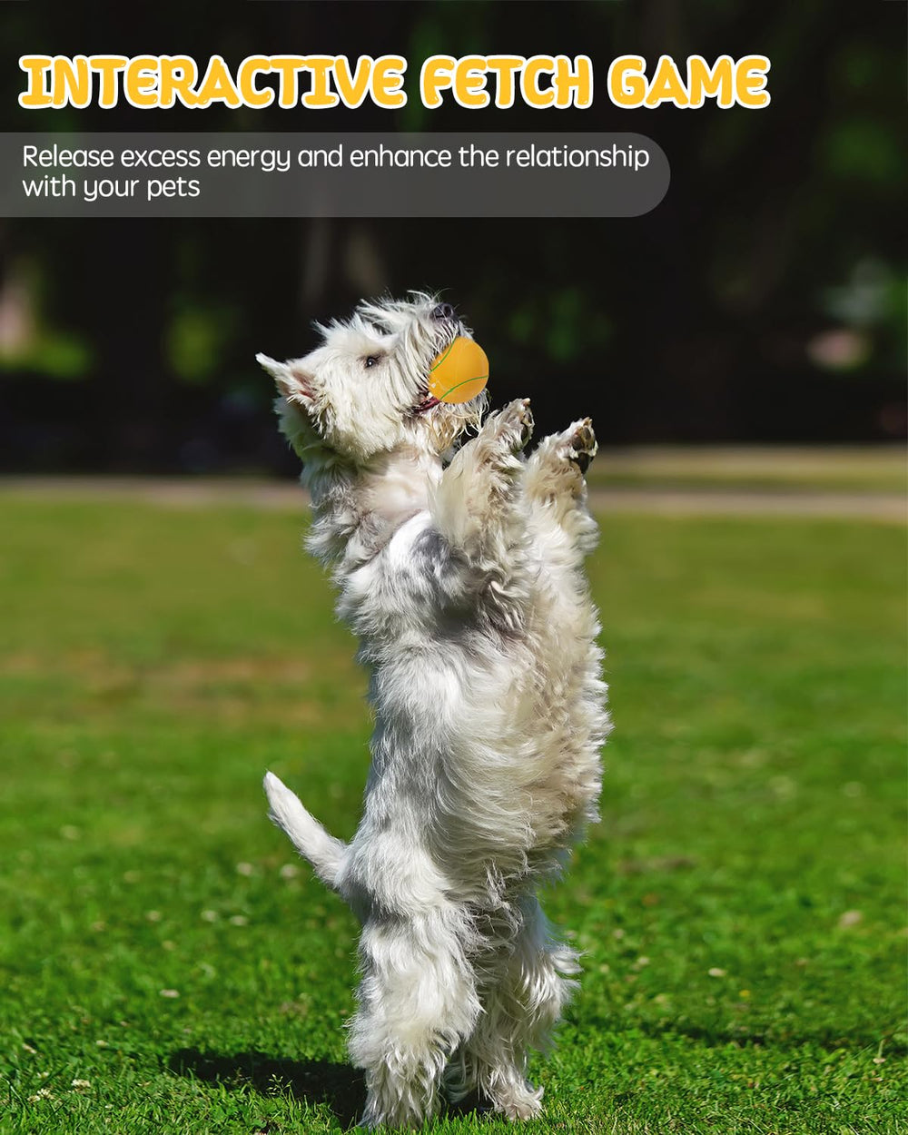 SCHITEC juego entretenido para interior y exterior, fortalece el vínculo con la mascota.