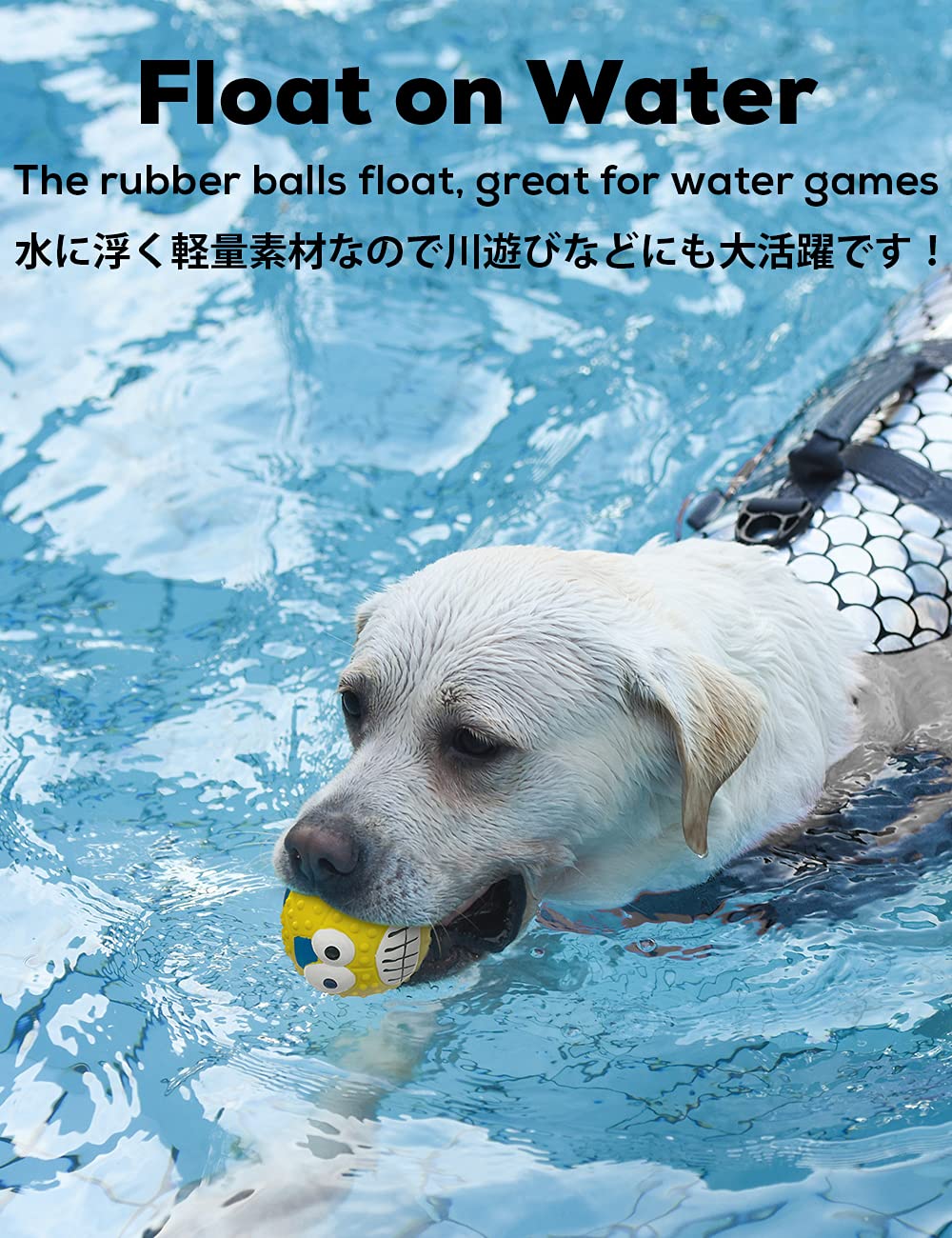 SCHITEC: juego interactivo para perro con pelotas diseñadas para diversión.