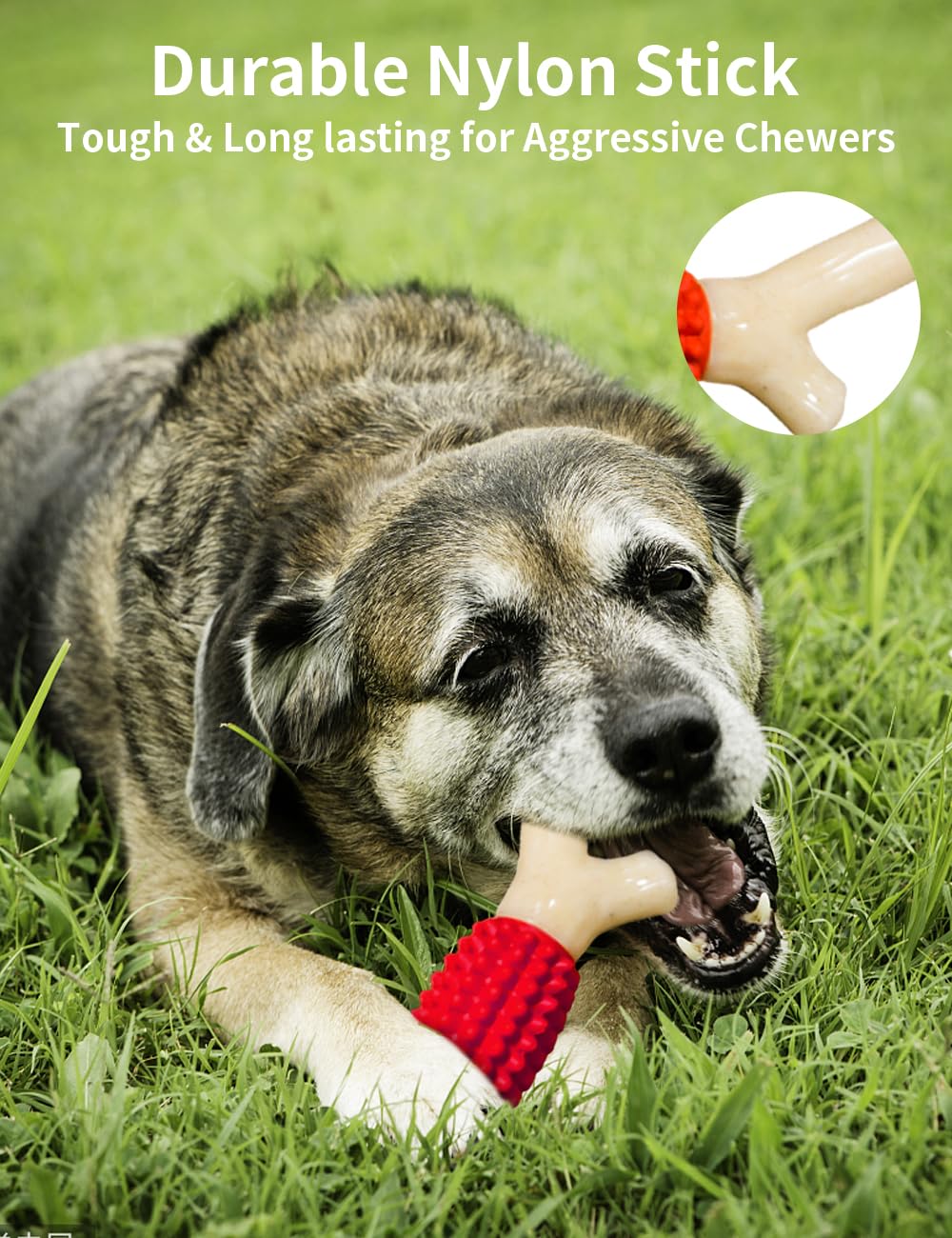 SCHITEC Juguete con sabor tocino real para perros, muy atractivo al morder.