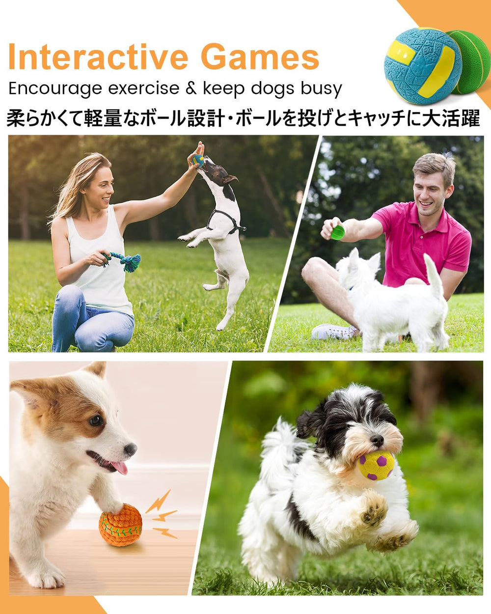 Paquete SCHITEC de 4 pelotas para cachorros, perfecto para juego y ejercicio.