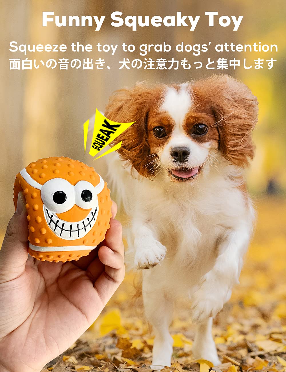 SCHITEC: pelota de baloncesto para perro, sonido chirriante y juego activo.