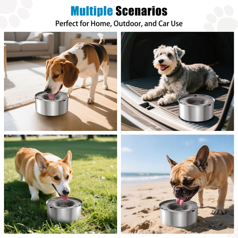 SCHITEC tazon anti-salpicaduras para perros: práctico para uso diario.