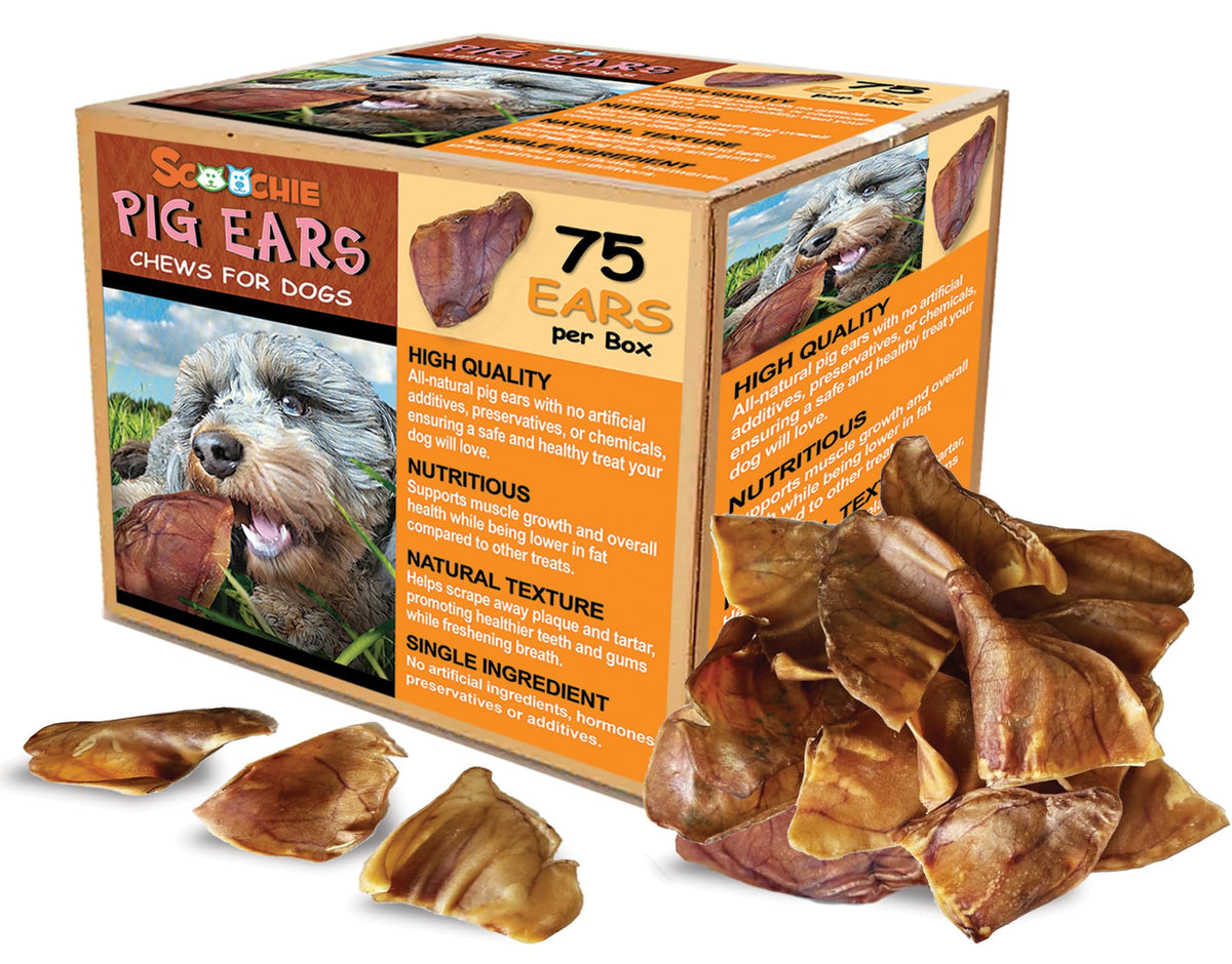 Scoochie Pet Orejas de cerdo brasileñas en paquete 75 para perros, masticación natural y duradera.