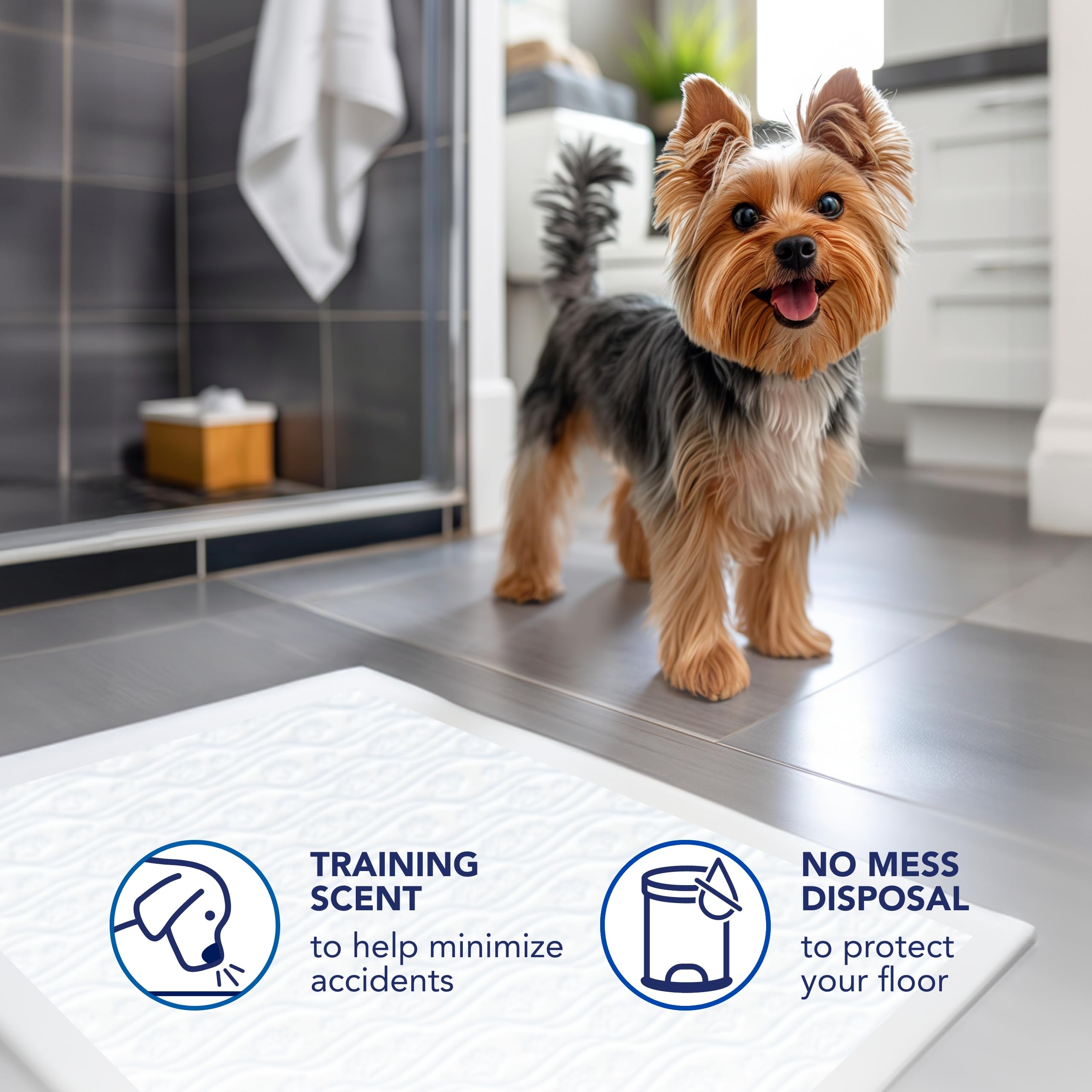 Scott Pet Guard es ideal para perros de todas las tallas en casa.