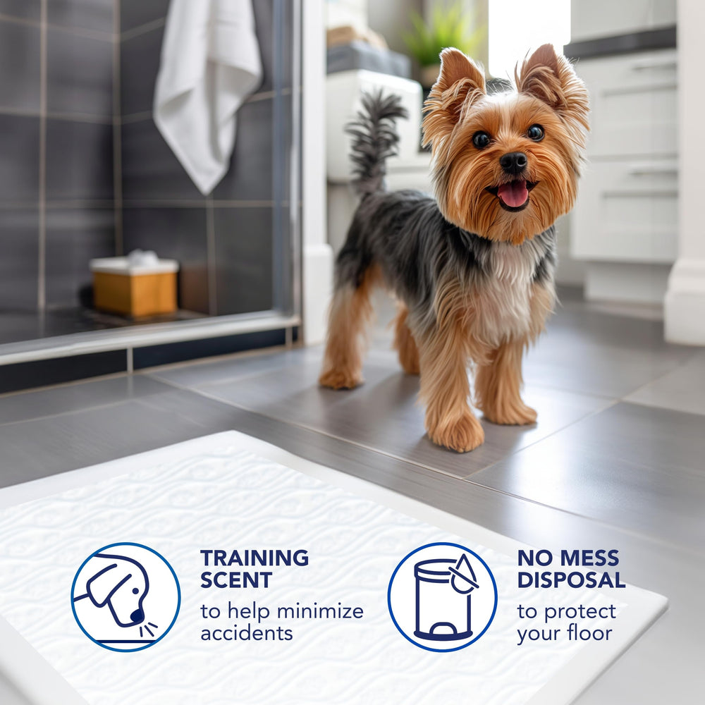 Scott Pet Guard es ideal para perros de todas las tallas en casa.