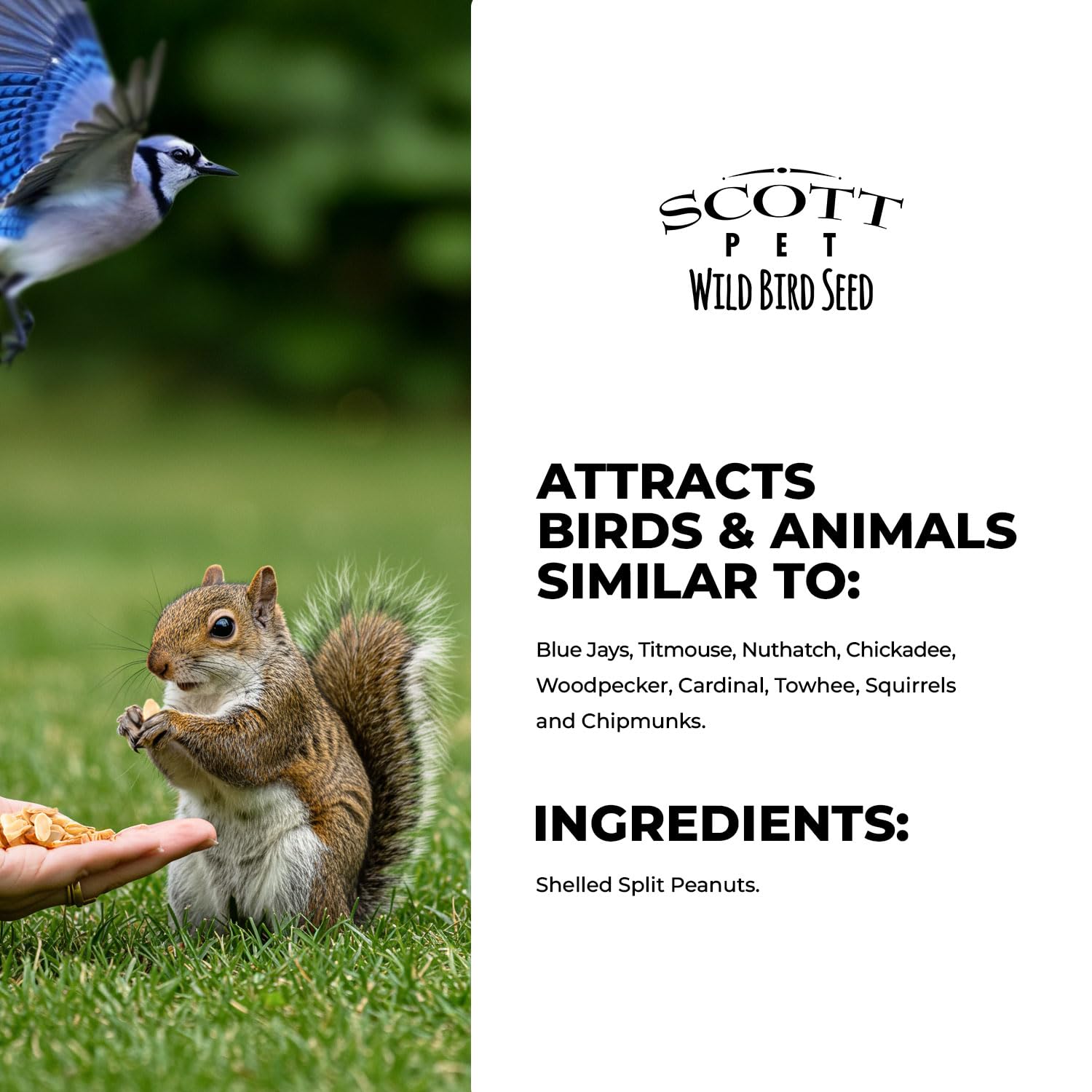 Scott Pet nutrición natural para aves con cacahuates como fuente proteica.