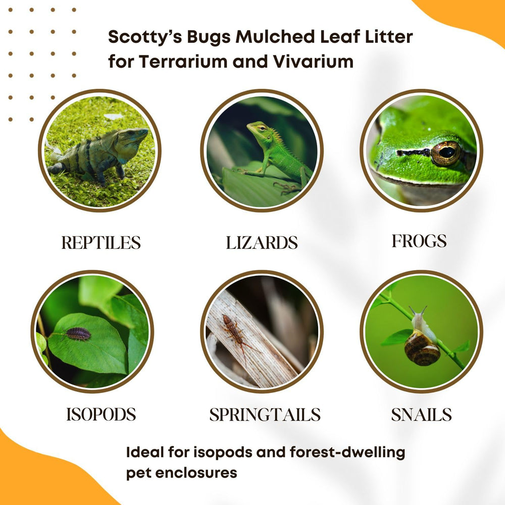SCOTTY'S BUGS humedad estable para terrarios bioactivos.