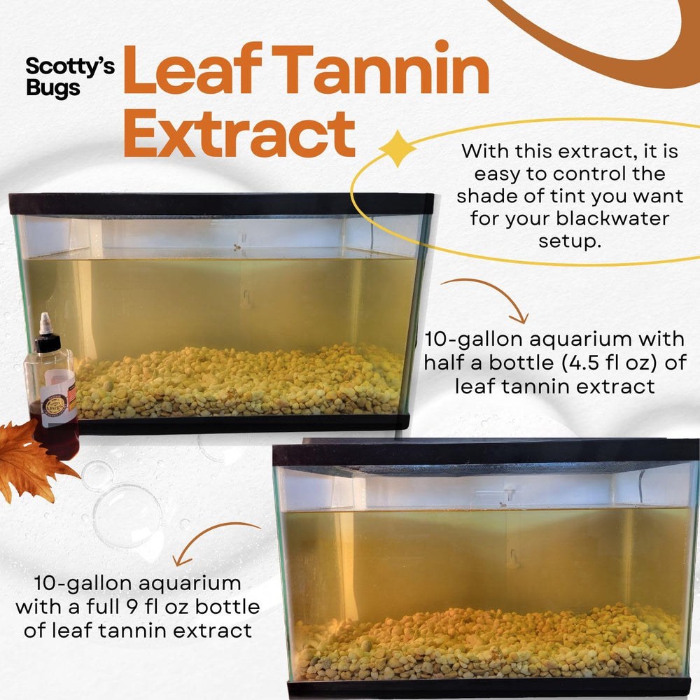 SCOTTY'S BUGS mejora salud y crecimiento de peces, posible apoyo en crecimiento natural