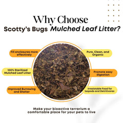 SCOTTY'S BUGS sustrato para terrario con hojas que ayuda a mantener la humedad.