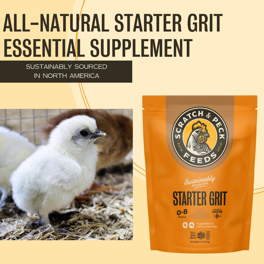 Scratch and Peck Feeds grit layer, 18 semanas, apoyo digestivo para ponedoras.