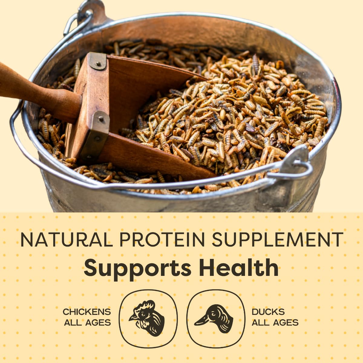 Scratch and Peck Grubs: proteína alta de hasta 40%, sostiene plumas y crecimiento.