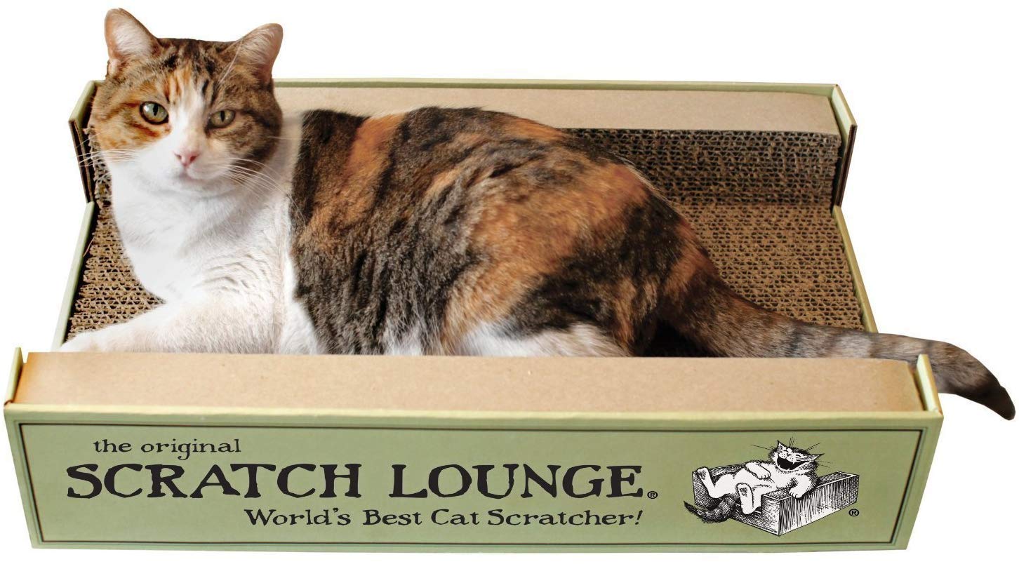 Scratch Lounge XL: densidad honeycomb reversible para mayor durabilidad.