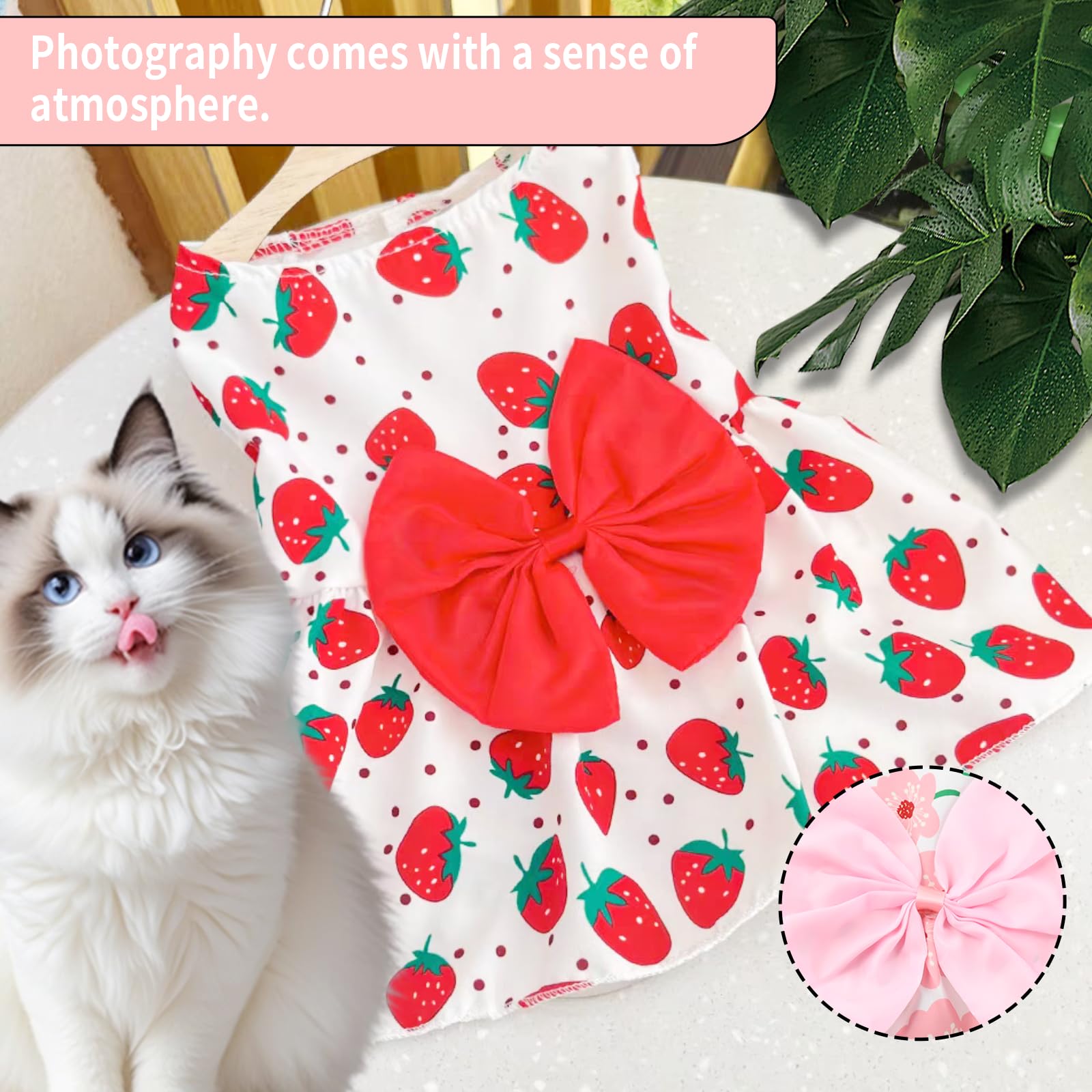 Vestido de fiesta para perros Sdfvsdg, ideal para celebraciones