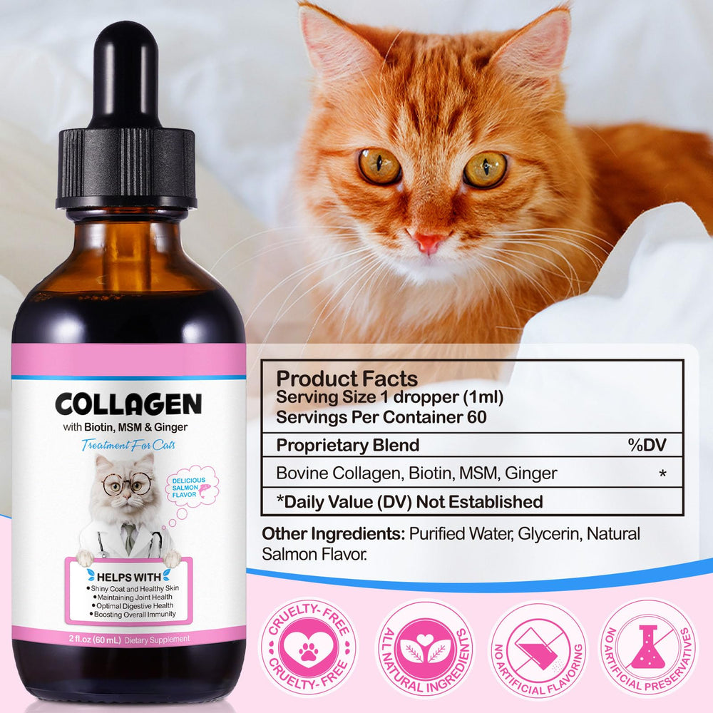 SDJUFEI Collágeno para gatos: apoyo a las articulaciones para movimiento cómodo.
