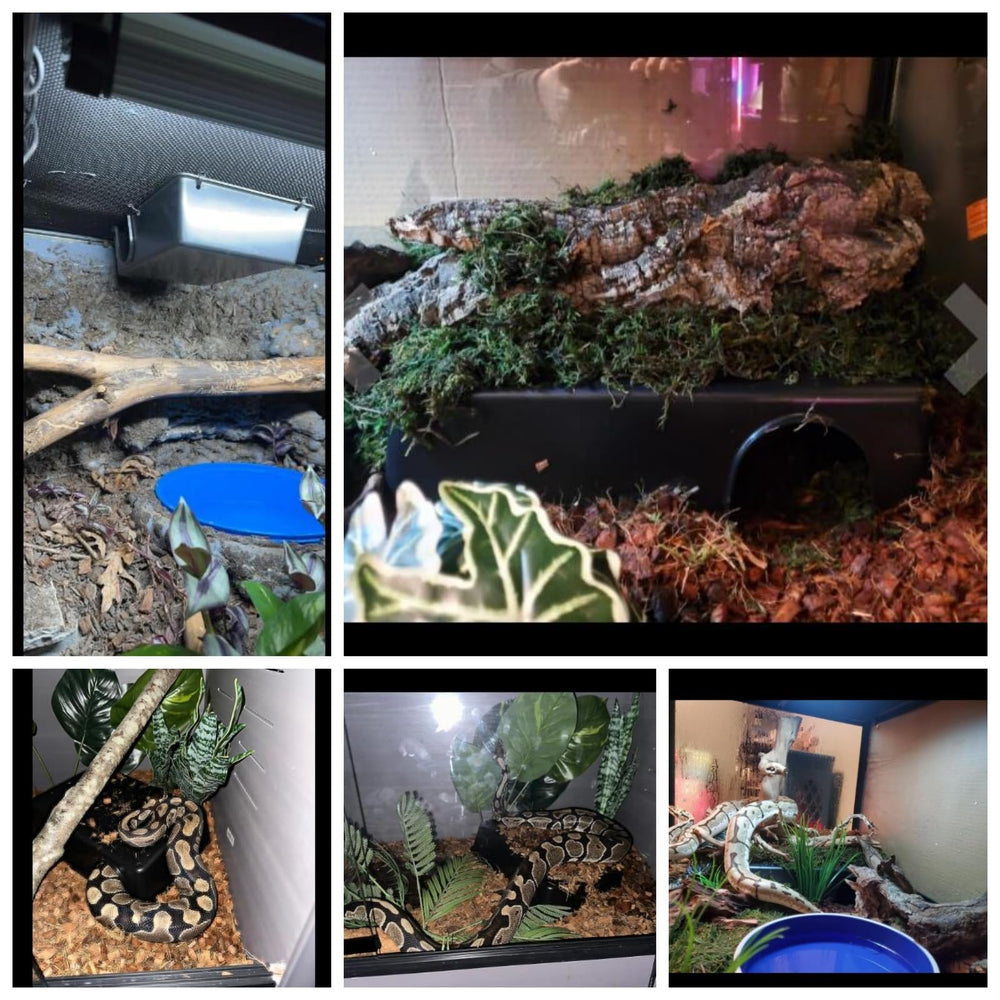 SDZGQPET Amypet refugio serpiente XXL, interior espacioso para reposo seguro.