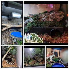 SDZGQPET Amypet refugio serpiente XXL, interior espacioso para reposo seguro.