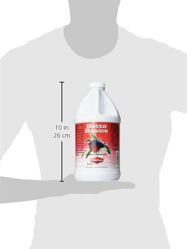 Betta Basics en acuario con betta y plantas, entorno equilibrado.