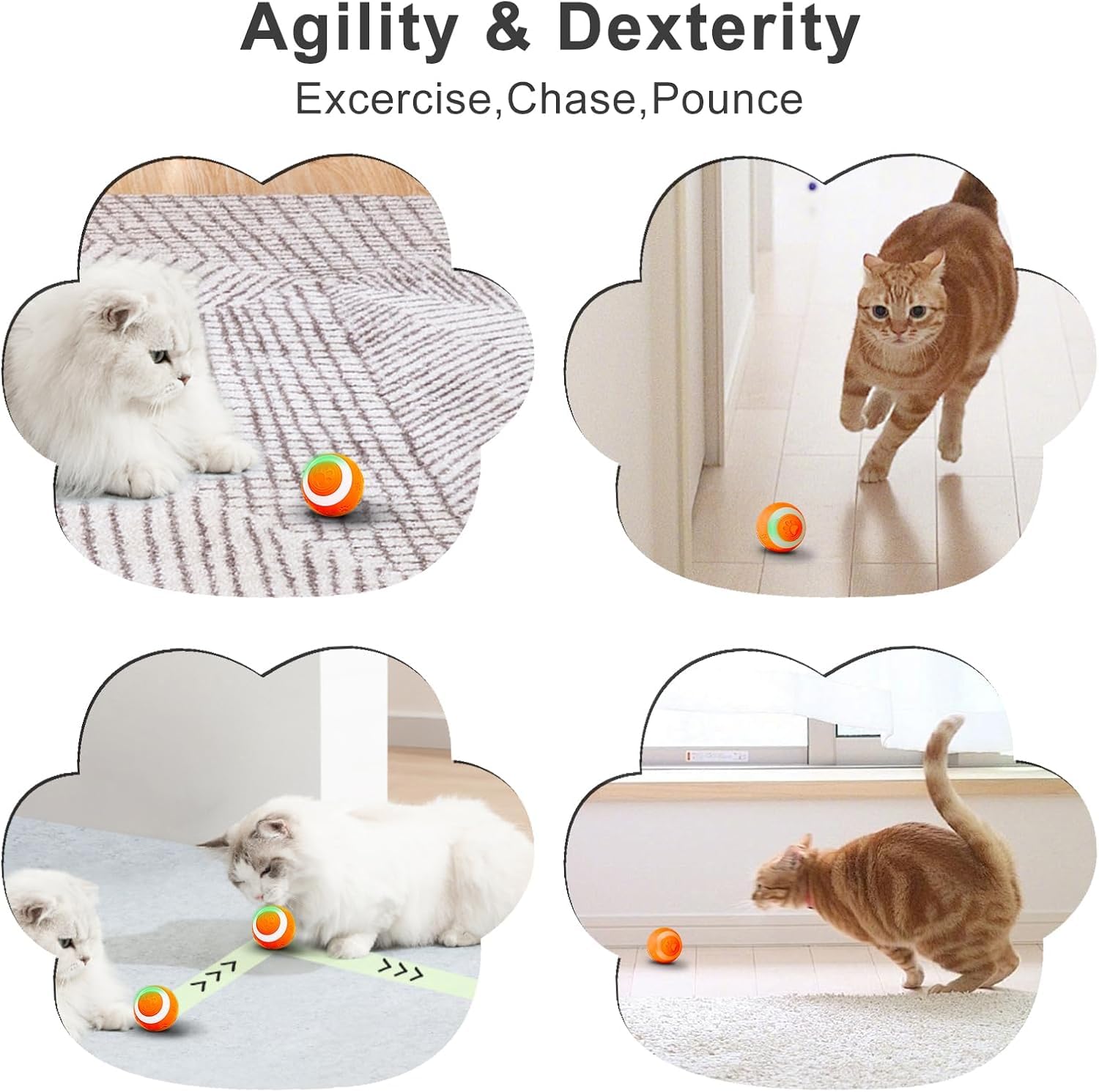 SEALON juego-interior-gato: entretenimiento interactivo en casa.