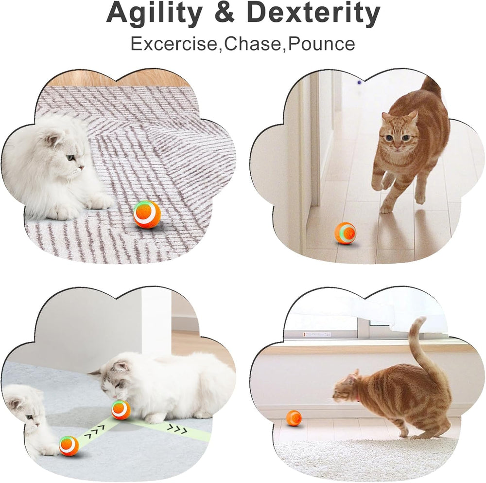 SEALON juego-interior-gato: entretenimiento interactivo en casa.