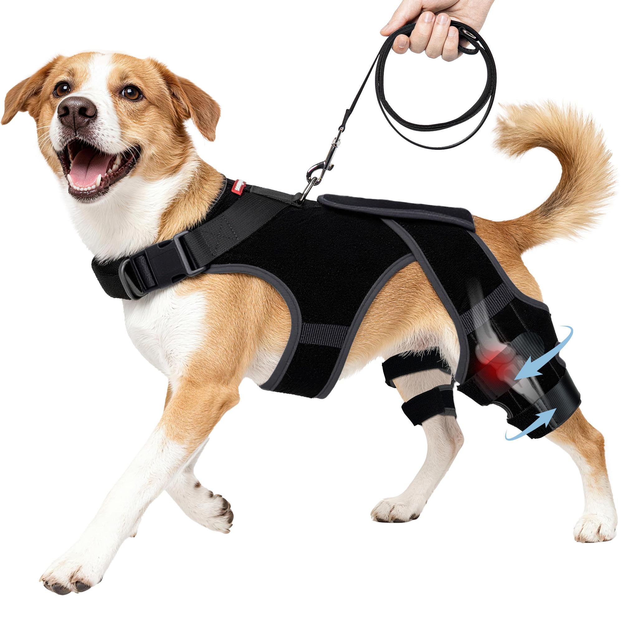 Seangonna rodillera para perro con apoyo total para articulaciones, comodidad diaria.