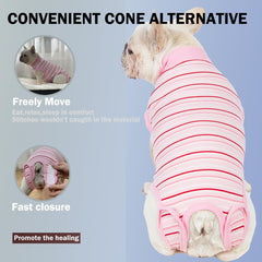 Sebdtico traje recuperación para perros diseño fácil de poner y quitar.