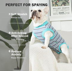 Sebidtco pijama quirúrgico para perro hembra: comodidad postoperatoria.